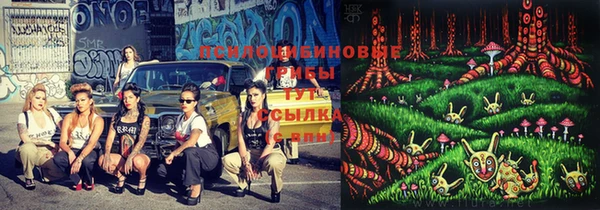 прущая мука Алексин
